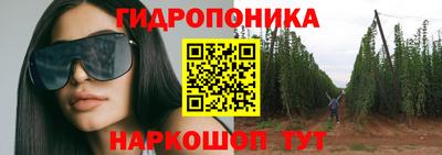 дживик Анжеро-Судженск