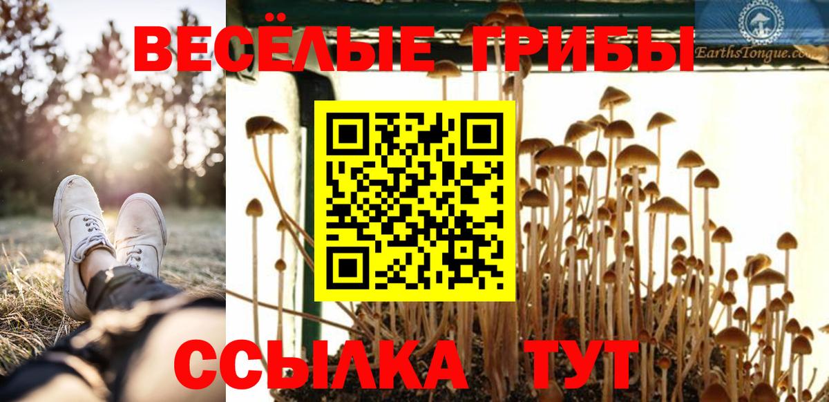 Бузулук  Галлюциногенные грибы Magic Shrooms  Вход с VPN  Галлюциногенные грибы Psilocybine cubensis 