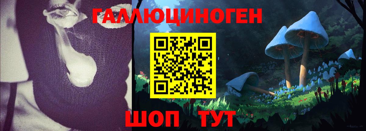 Псилоцибиновые грибы мицелий Бузулук